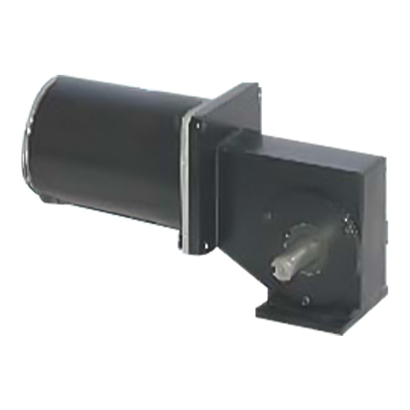 90JW/83ZY125 2000-3000 ot./min kartáčovaný šnekový motor s permanentním magnetem