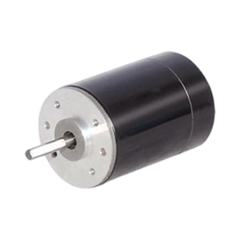 38ZY63 38mm 24V/48V kartáčovaný DC motor s permanentním magnetem